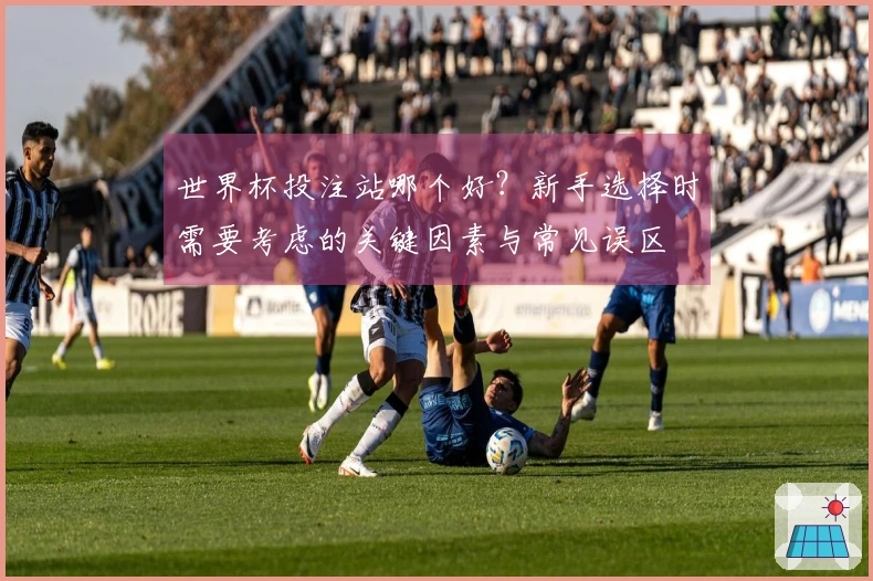世界杯投注站哪个好？新手选择时需要考虑的关键因素与常见误区