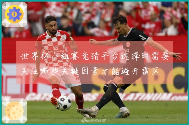 世界杯小组赛竞猜平台选择时需要关注哪些关键因素才能避开雷区