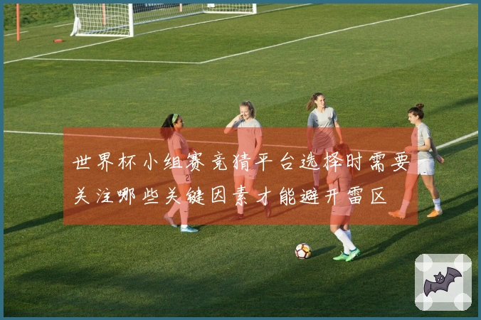 世界杯小组赛竞猜平台选择时需要关注哪些关键因素才能避开雷区